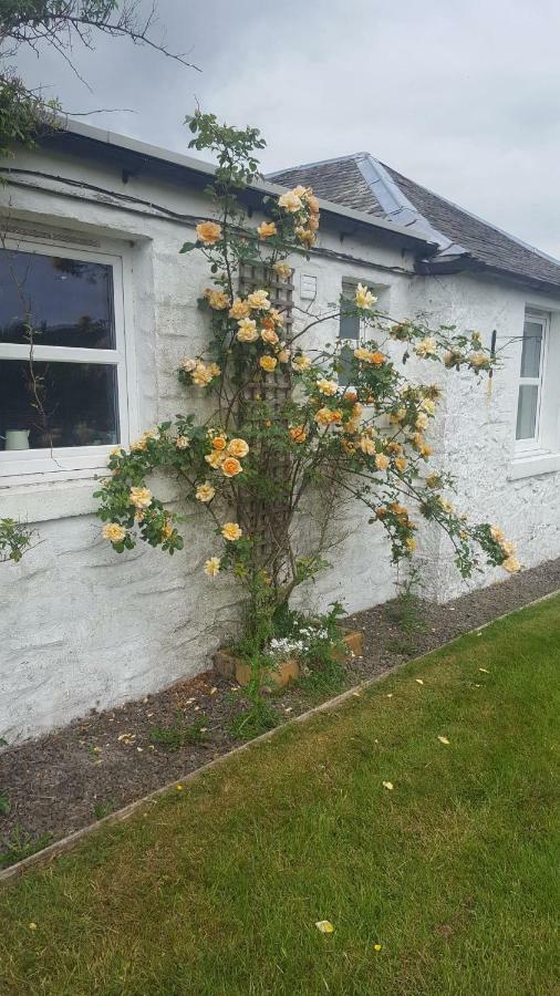 Barcloy Honey House Villa Kirkcudbright Bagian luar foto